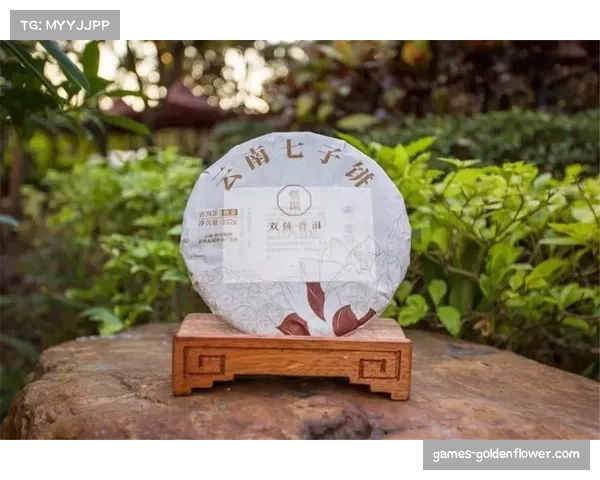 4天千余场精彩对决普洱大型赛事圆满收官展现竞技与激情风采