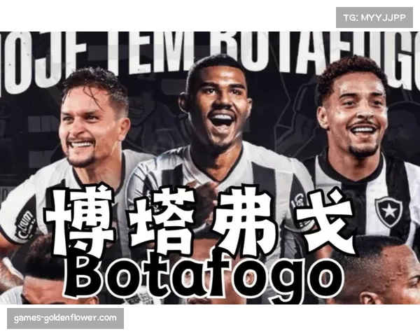 巴甲数据统计显示,弗拉门戈进攻效率联赛顶尖